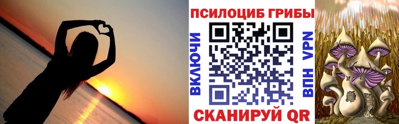 Псилоцибиновые грибы GOLDEN TEACHER  Венёв 